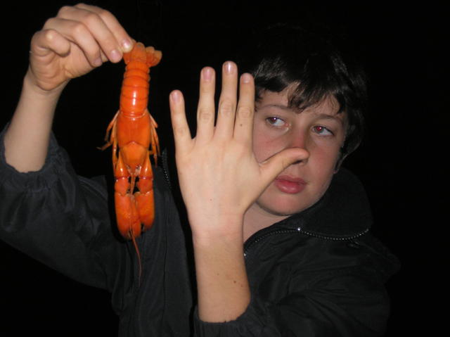 Big Yabby! Big Yabby!